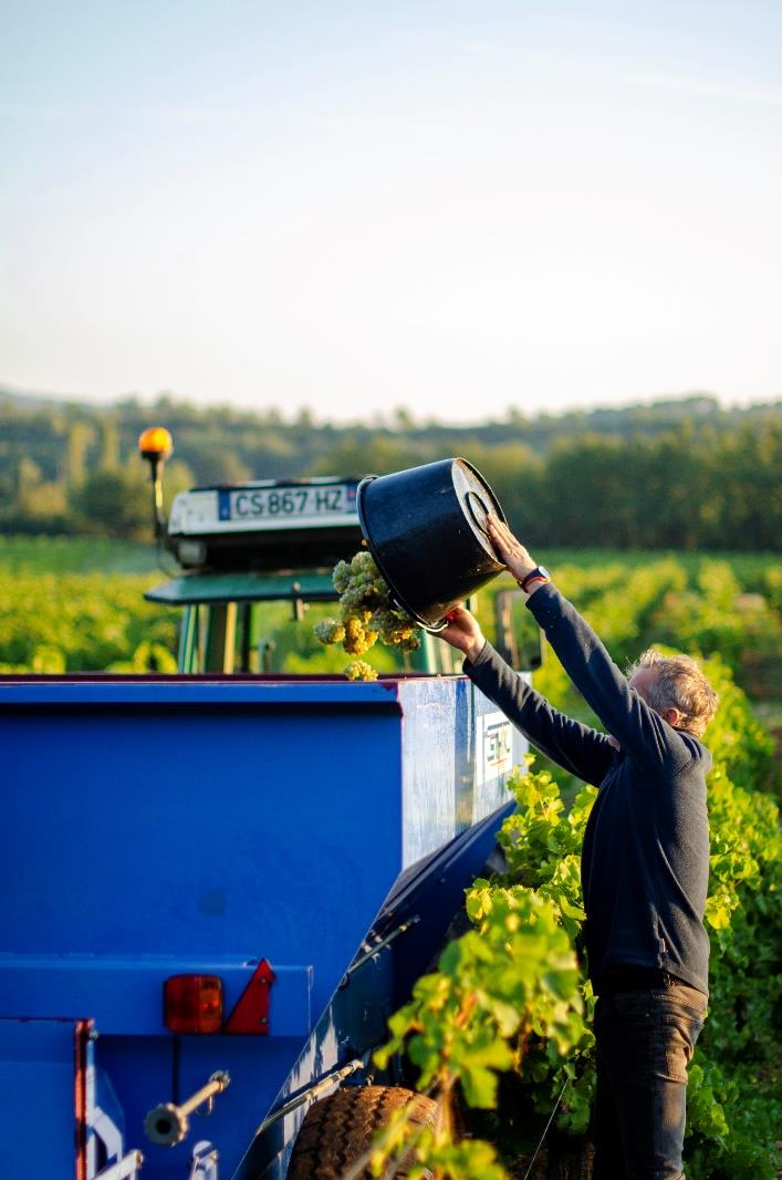 Domaine de Trians - Cuvée Les Mélicots